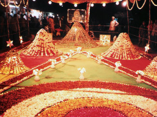 Holi Decoration at Kota